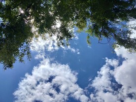 风景