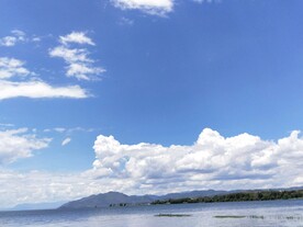 海天