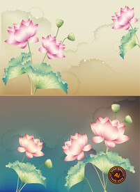 荷花插画海报