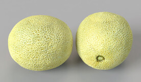 香瓜 甜瓜C4D模型