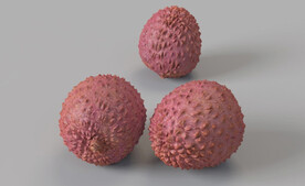 C4D模型荔枝