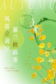 立秋海报