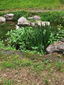 公园风景  