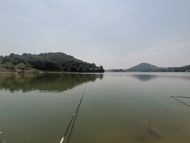山水