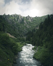 山