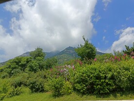 泰山风景