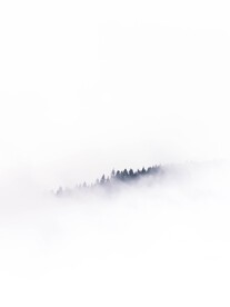 云海