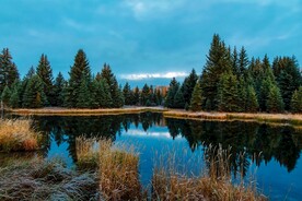 山