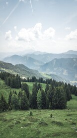 山
