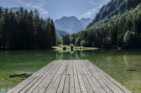 山