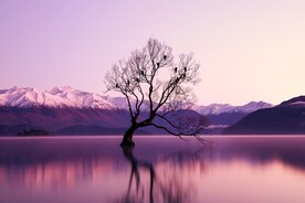 山