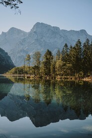 山