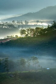 山