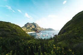 山