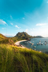山