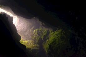 山