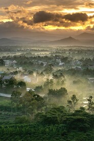 山