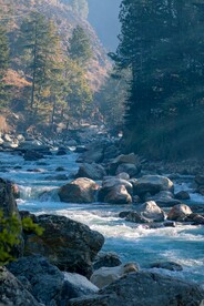 山