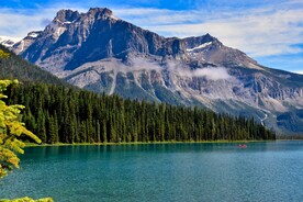 山