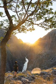 山