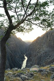山