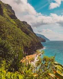 山