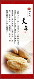 天麻