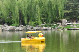 公园风景 
