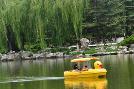 公园风景 