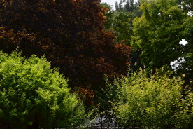 公园风景 