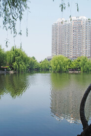 绣湖春色