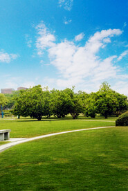 风景
