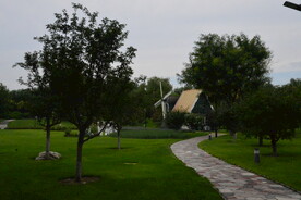 公园风景 