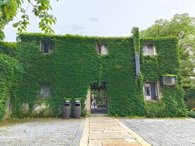 爬满爬山虎绿植的建筑