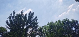 蓝天白云 