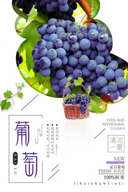 葡萄海报