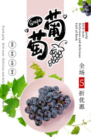 葡萄海报