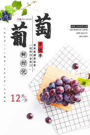 葡萄海报