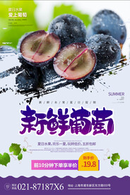 葡萄海报