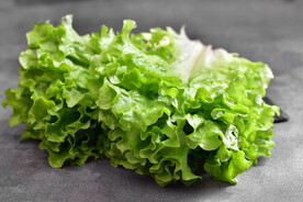 生菜