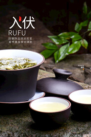 入伏海报