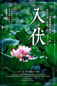 入伏海报