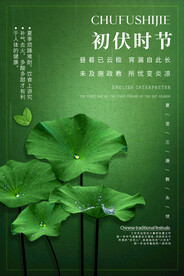 入伏海报
