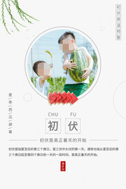 入伏海报