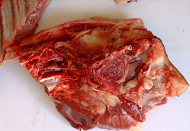 藏香猪骨肉