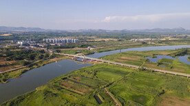 大清河