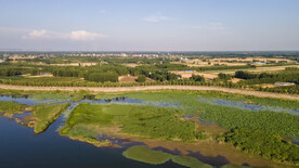 东平湖