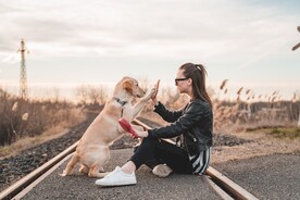 狗