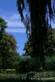公园风景 