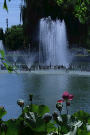 公园风景